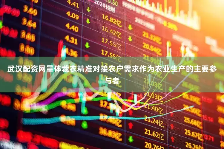 武汉配资网量体裁衣精准对接农户需求作为农业生产的主要参与者