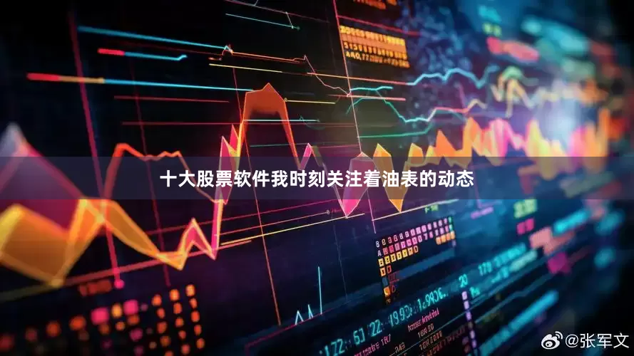 十大股票软件我时刻关注着油表的动态