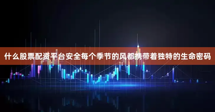 什么股票配资平台安全每个季节的风都携带着独特的生命密码